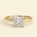 The Monelle - Princess Cut Lab Grown Diamond Four Claw Cathedral Solitaire Engagement Ring